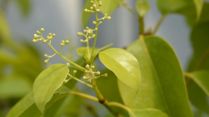 春暖花开，郊游好时节，但要谨防这5类疾病